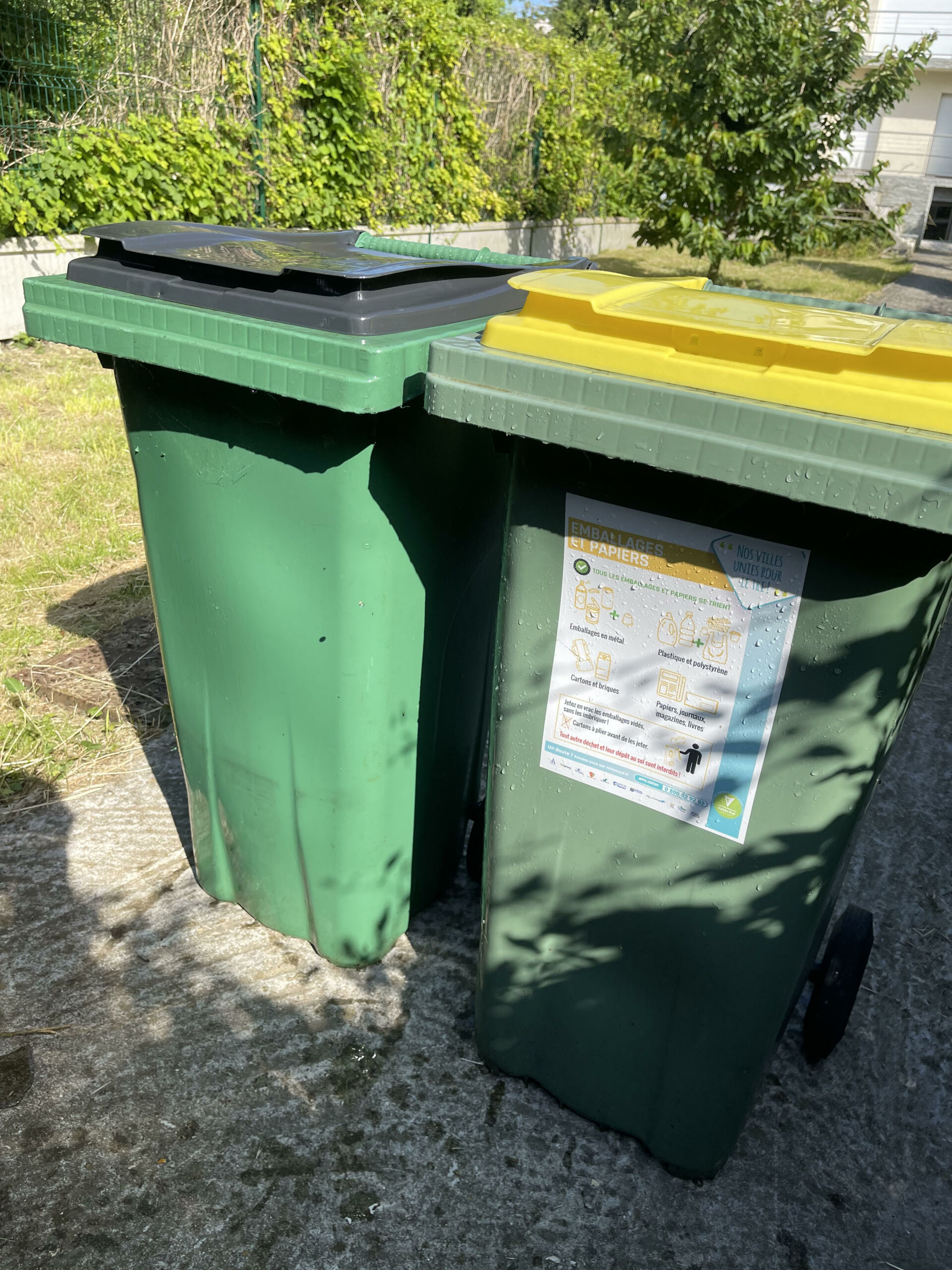 sortie poubelle